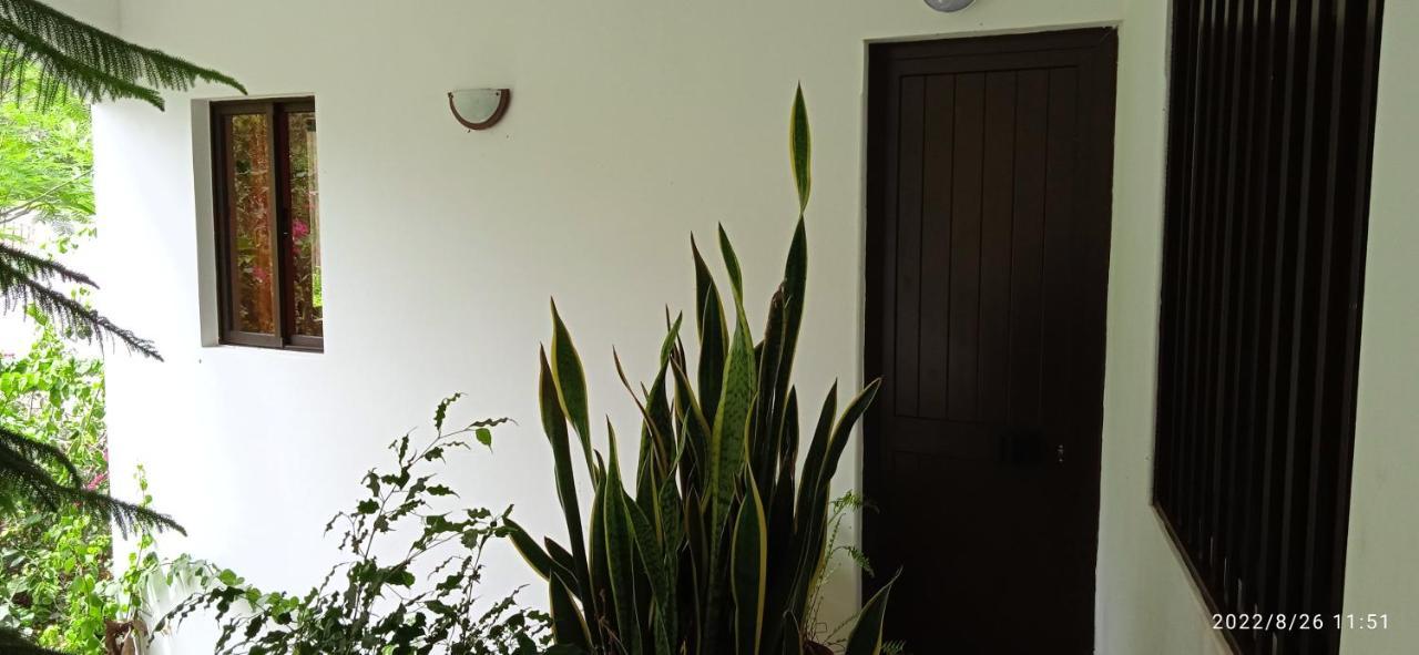 Damontanha 2 Apartment Ribeira Grande Exterior photo